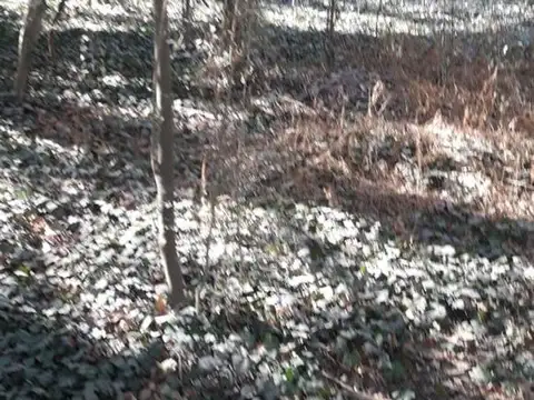 Ruta Provincial 14 100