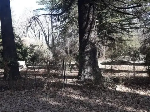 Terreno en Venta en Nono, USD 34.000