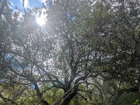 Terreno en Venta en Villa de las Rosas, San Javier