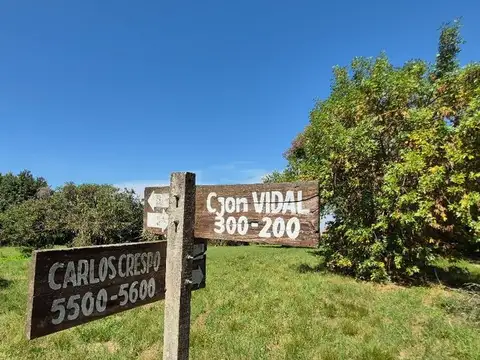 Calle Pueblos Originarios