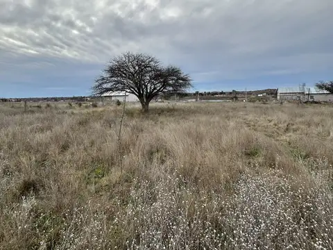 Terreno en Venta de 1000,0 m2