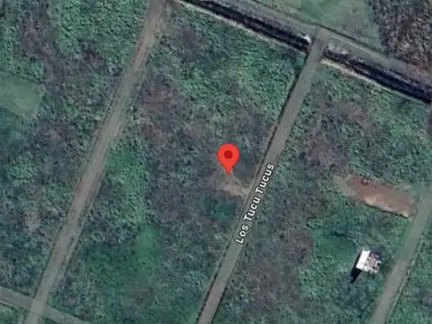 Los Tucu Tucus e/ Néstor Cámpora y Frondizi