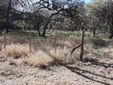 Terreno en Venta en Carpintería, USD 30.000