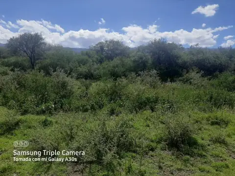Terreno en Venta en Carpintería, USD 30.000