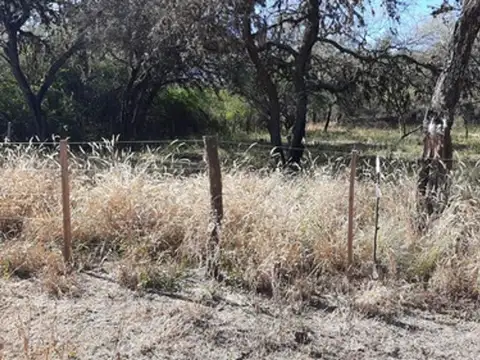Terreno en Venta 14  mts Frente