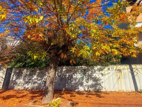 Terreno en Lomas Del Mirador
