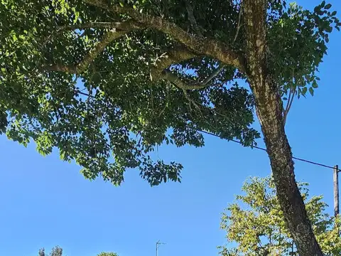 Casa con amplio lote EN VENTA - Guadalupe Norte