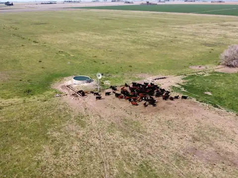 Campo en  Santa Teresa
