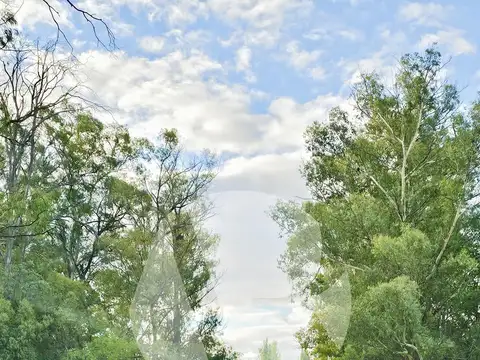 Terreno en Venta de 3200,0 m2