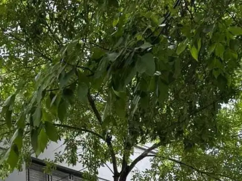 Departamento 4 ambientes en venta en San Fernando