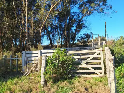 Venta de campo 5 Ha. Ruta 8 Km. 34 Rincón de Pando