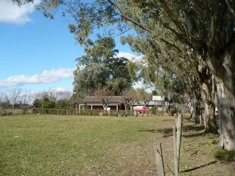 venta campo zarate