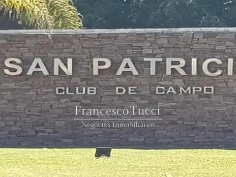 Carola Lorenzini Lote / N° 4900