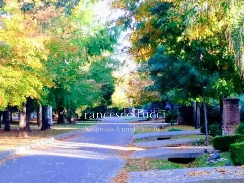 Carola Lorenzini Lote / N° 4900