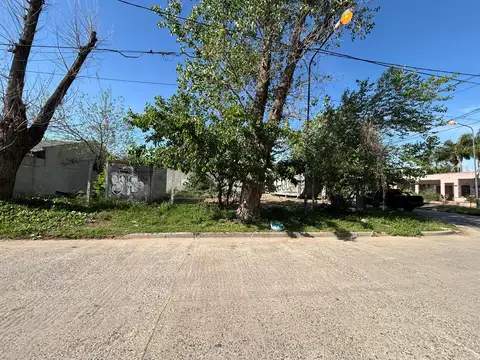 Toscanelli y Ingeniero White