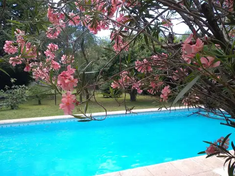 CASAQUINTA GONZÁLEZ CATÁN Céntrico sobre Avenida Principal