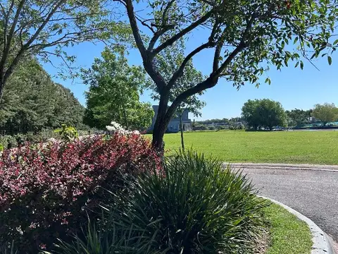 Barrio San Juan 1000