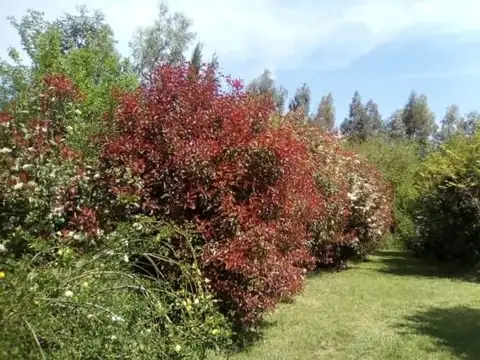 Terreno en Venta de 5000,0 m2
