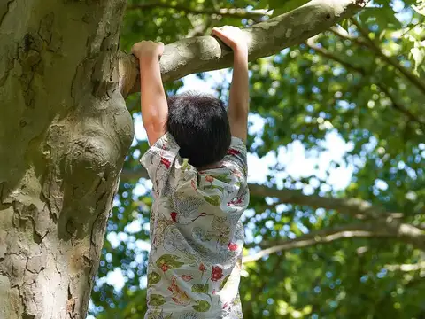 San Miguel barrio privado- Pilar