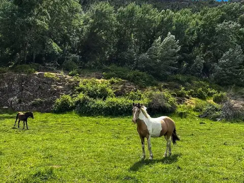 Terreno en Venta en El Hoyo, USD 135.000