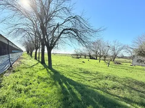 21 hectáreas en venta