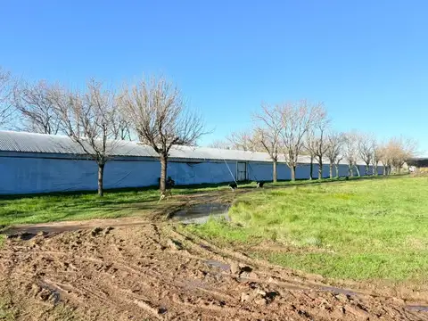 Camino Jota