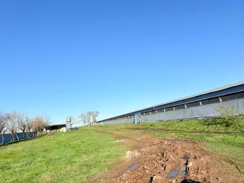 Campo en Venta de 21  ha