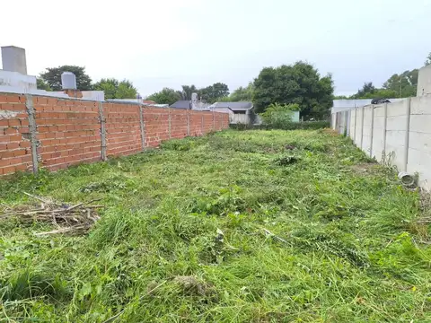Terreno en Venta 30  mts Fondo