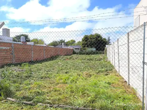 Terreno en Venta de 300,0 m2
