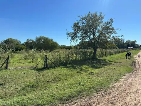 Terreno en Venta en Villa Lia, USD 50.000