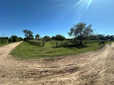 VENTA Terreno 1/4 de Manzana en la Localidad de Villa Lía