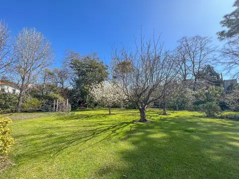 Terreno Lote  en Venta en Libertador / Rio, Martínez, San Isidro