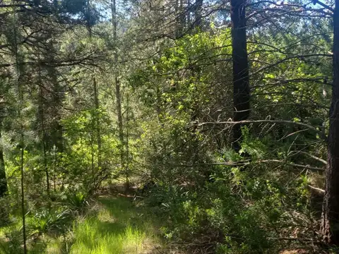 Terreno en Venta de 2092,0 m2