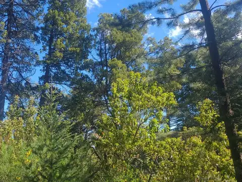 Terreno en Venta en El Bolson, USD 25.500