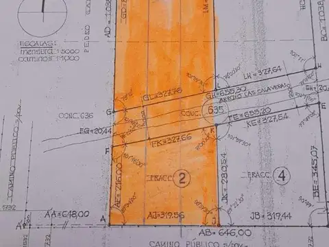 Campo Mixto de 11 has en Lehmann en Santa Fe