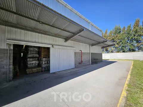 NAVE CON RACKS INCLUIDOS - PREDIO CON SEGURIDAD 24 HS- PARQUE INDUSTRIAL EZEIZA