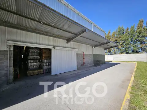NAVE CON RACKS INCLUIDOS - PREDIO CON SEGURIDAD 24 HS- PARQUE INDUSTRIAL EZEIZA
