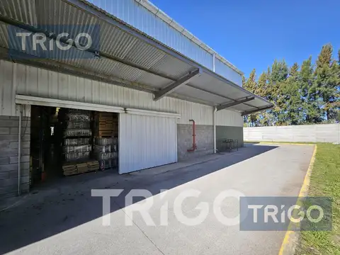 Oportunidad única deposito en alquiler 1250m2 con racks en Polo industrial Ezeiza - Zona Sur Oeste