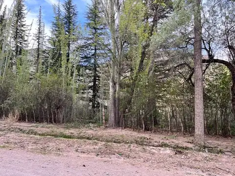 LOTE EN VENTA EN LAS CARDITAS POTRERILLOS