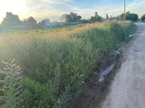 Terreno en Venta de 307,0 m2
