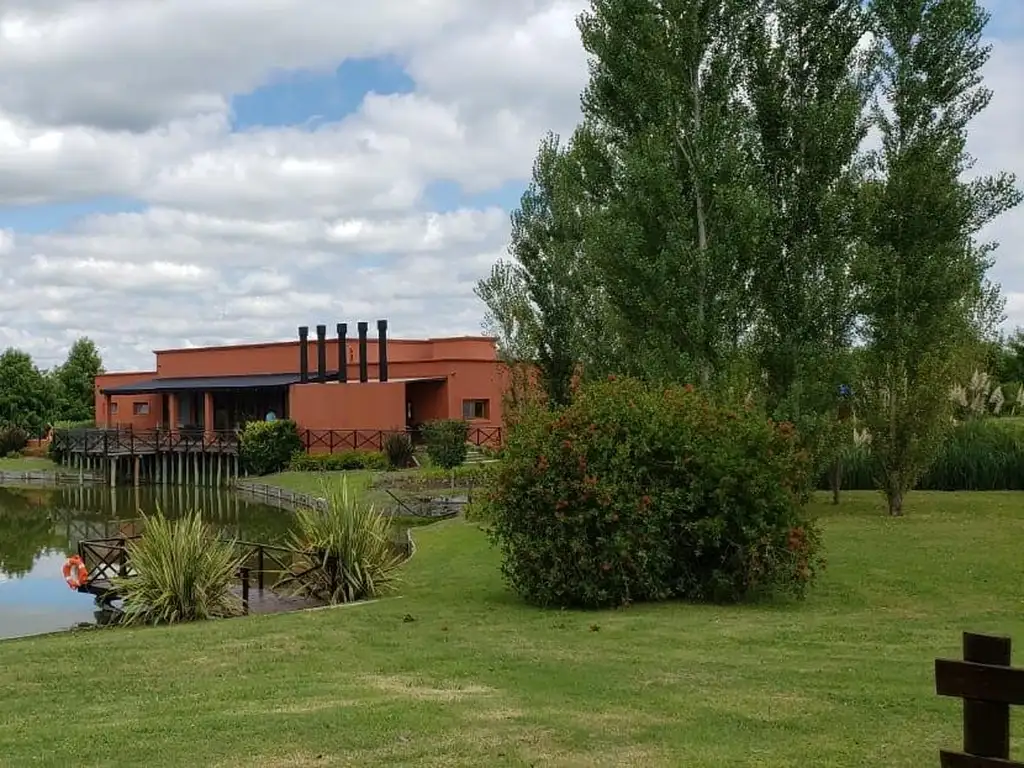 Terreno - Terreno | 2.000  m² Total