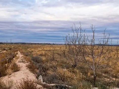 VENTA DE FINCA.  KILOMETRO 49. LUJAN DE CUYO