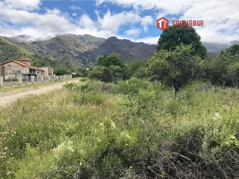 Cantata del Bosque Natal