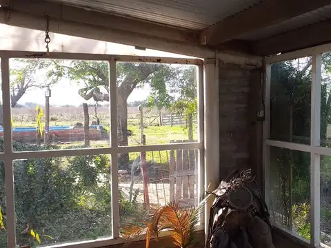 ruta 3 km 117  8 hectareas