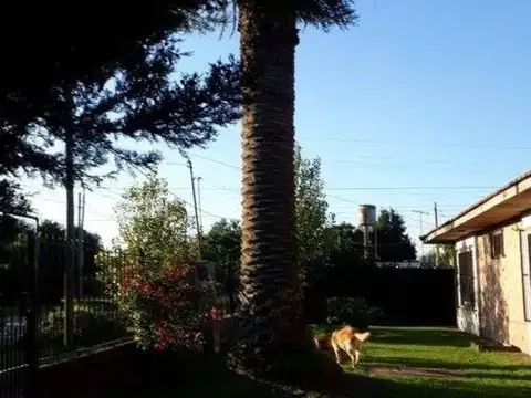 Guatambu 3534 - Longchamps