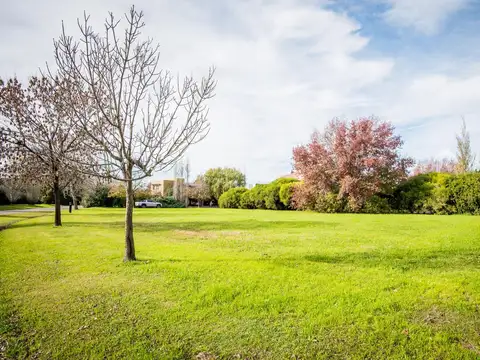 Terreno en Venta 51  mts Fondo
