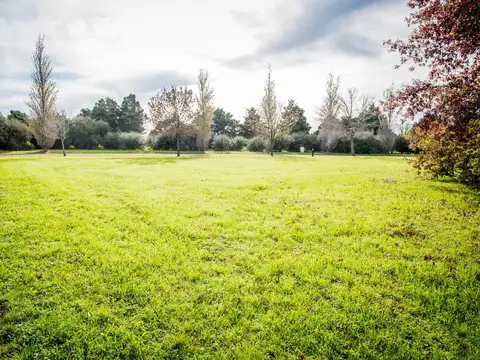 Terreno en Venta 32  mts Frente