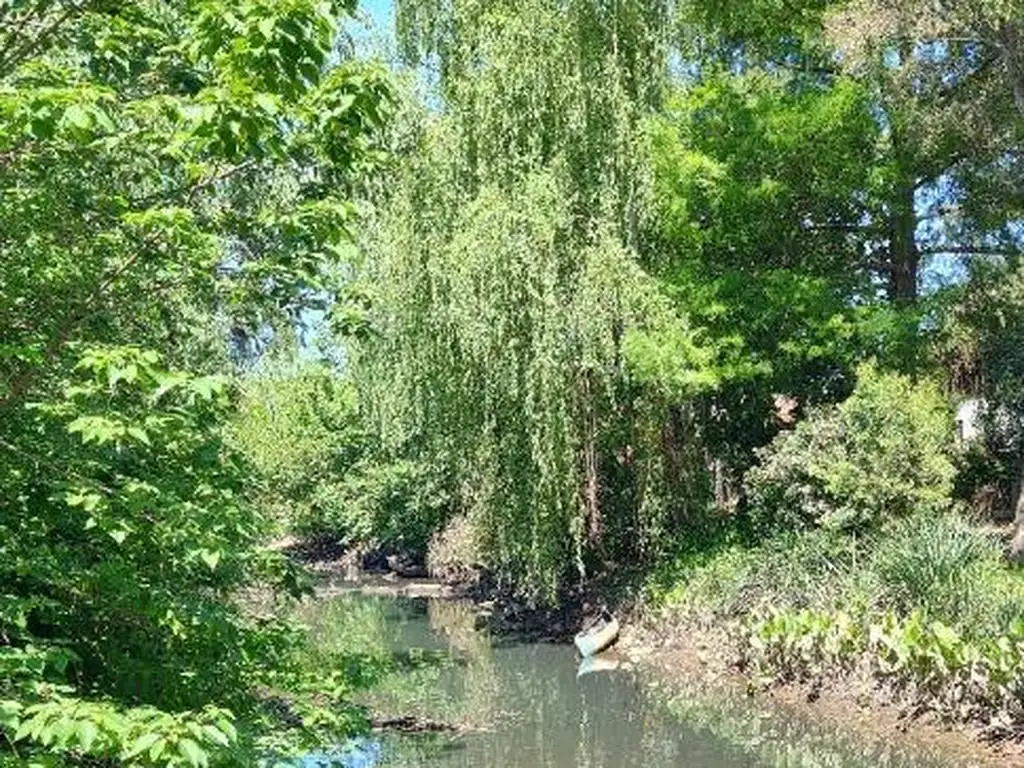 Tigre Mews - Foto 12