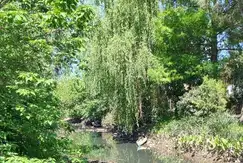 Tigre Mews - Foto 12