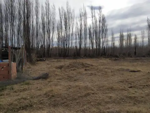 Ruta 100